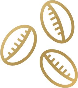 Consulta aos Búzios